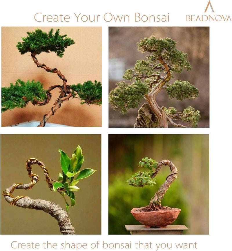 BEADNOVA Plant Training Wire 98 Feet Copper Bonsai Tree Aluminium Plant Wire for Training Indoor and Outdoor (Copper, 2mm, 30m) - Image 5